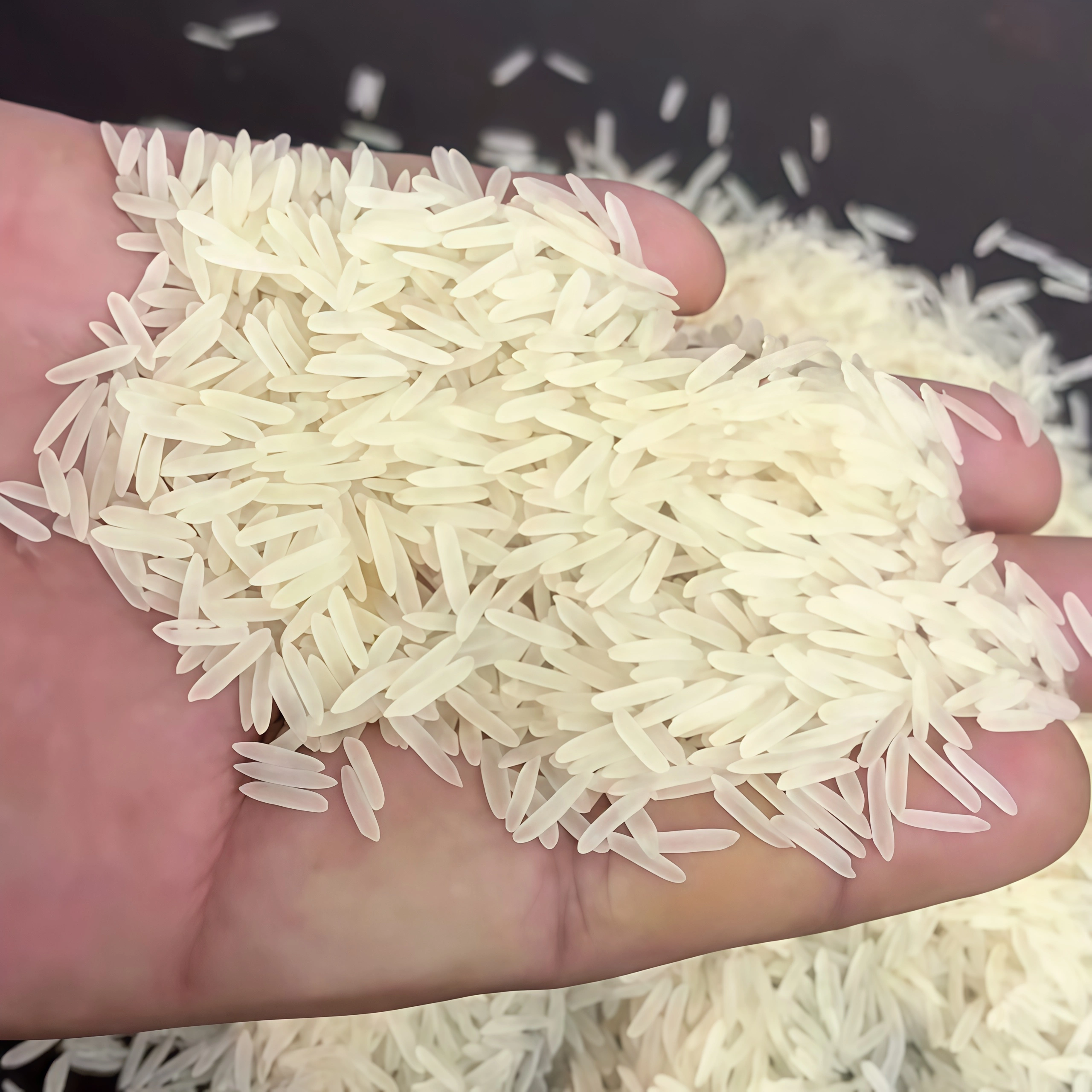 1121 Basmati White Sella